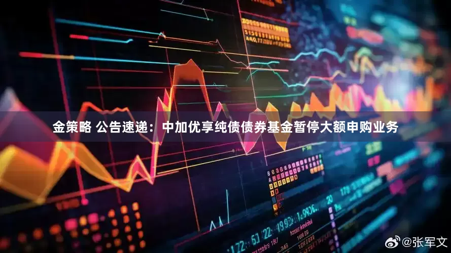 金策略 公告速递:中加优享纯债债券基金暂停大额申购业务