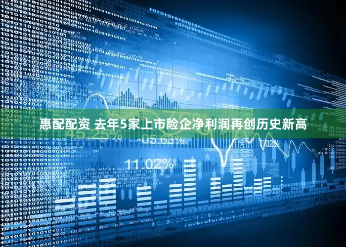惠配配资 去年5家上市险企净利润再创历史新高